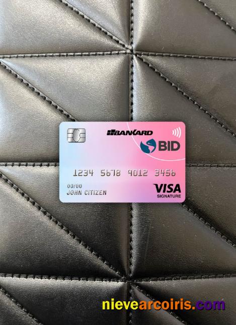 Ecuador Banco Interamericano De Desarrollo (BID) Bank Visa Signature Card Photolook Front Sample