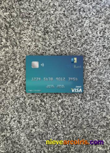 Gabon BGFI Bank Visa Debit Card Photolook Front Preview