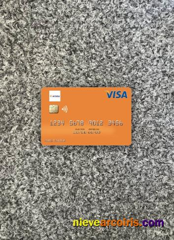 Guinea Access Bank Guinée Visa Debit Card Photolook Front Photolook