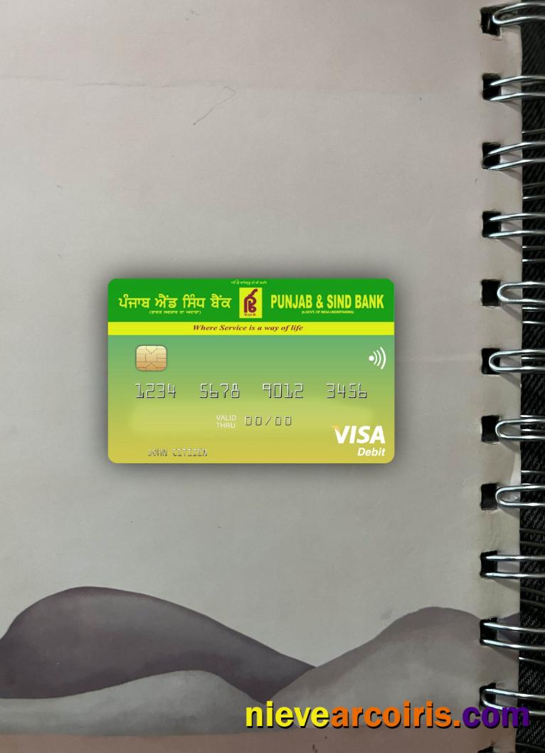 India Punjab And Sind Bank Visa Photolook Front Sample