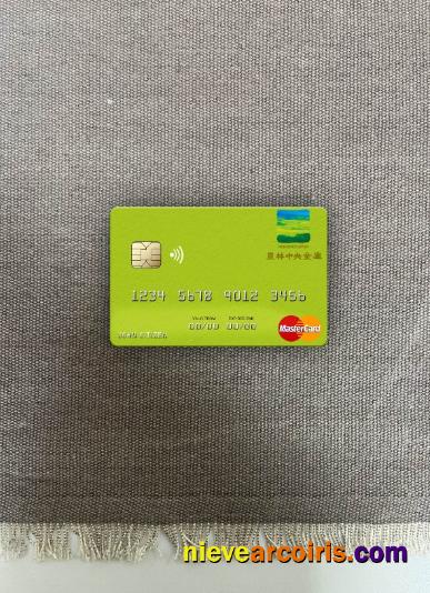 Japan Norinchukin Bank Mastercard Photolook Front Template