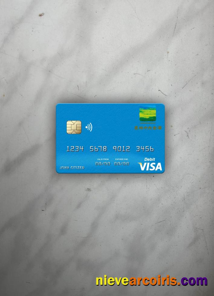 Japan Norinchukin Bank Visa Debit Card Photolook Front Sample