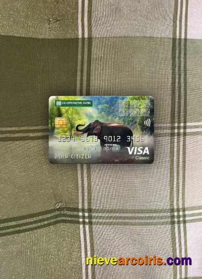 Kenya Co Operative Bank Visa Classic Card Photolook Front Photolook