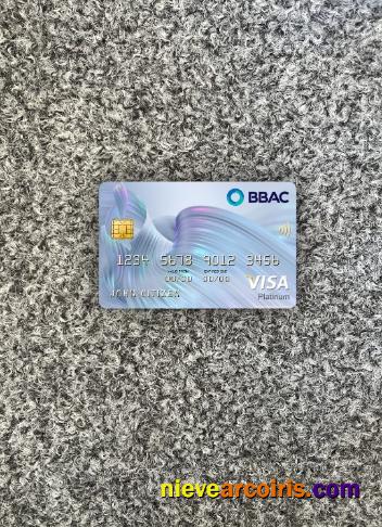 Lebanon BBAC Visa Platinum Card Photolook Front Template