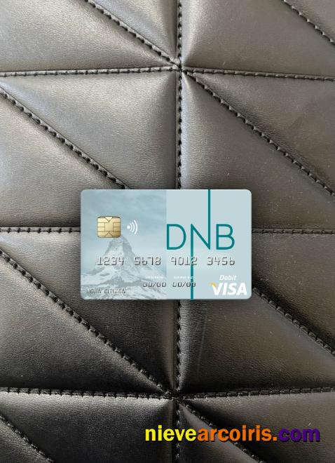 Lithuania DNB Bank Visa Debit Card Photolook Front Sample