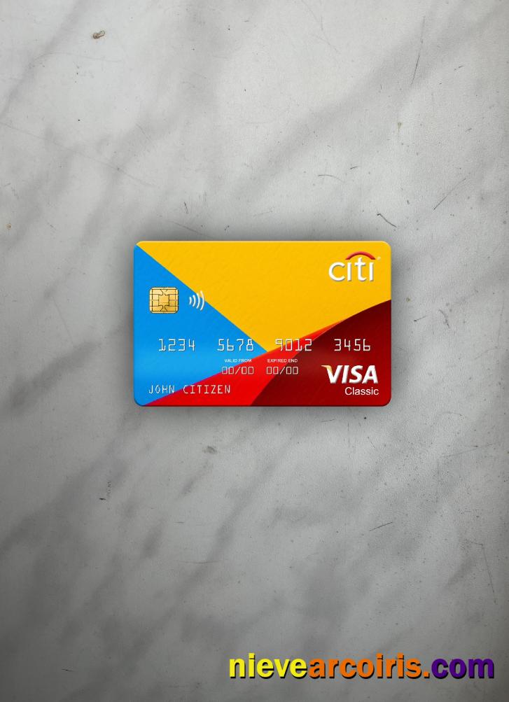 Netherlands Citibank Visa Classic Card Photolook Front Preview