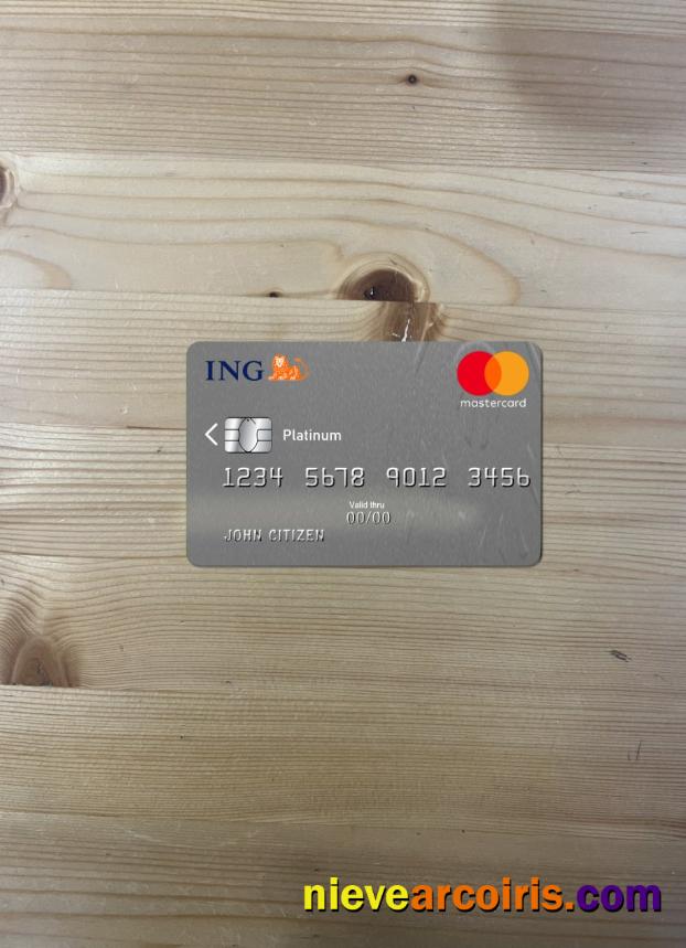 Netherlands ING Bank Mastercard Platinum Photolook Front Preview