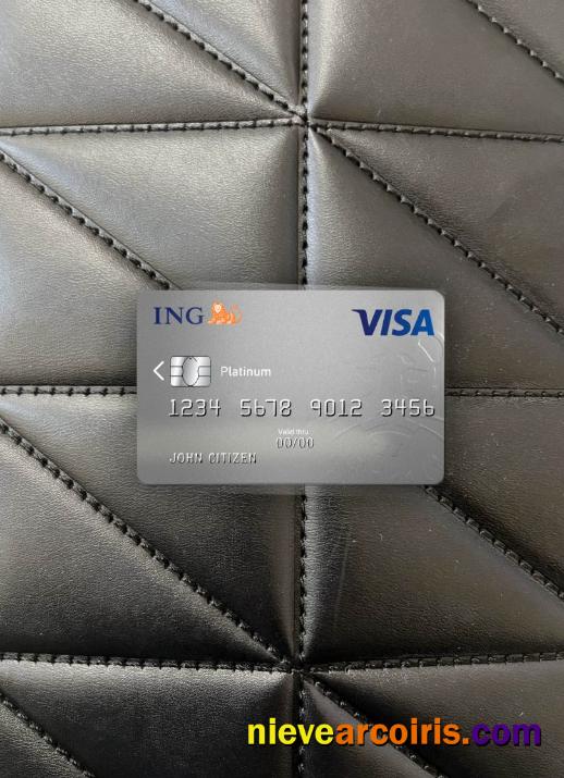 Netherlands ING Bank Visa Card Platinum Photolook Front Sample