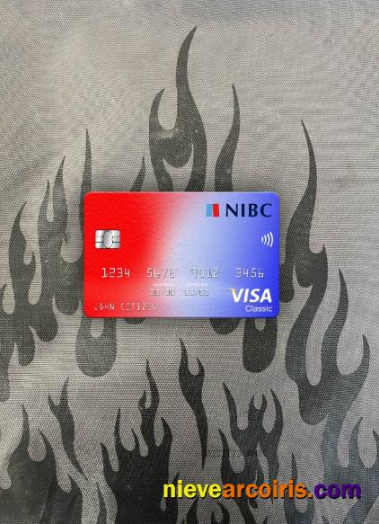 Netherlands NIBC Bank Visa Classic Card Photolook Front Preview