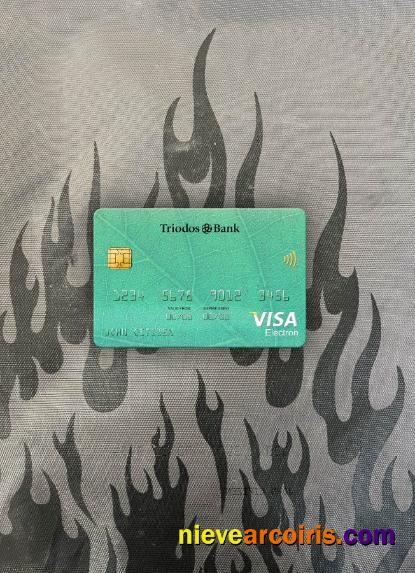 Netherlands Triodos Bank Visa Electron Card Photolook Front Template