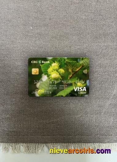 Romania CEC Bank Visa Classic Card Photolook Front Photolook