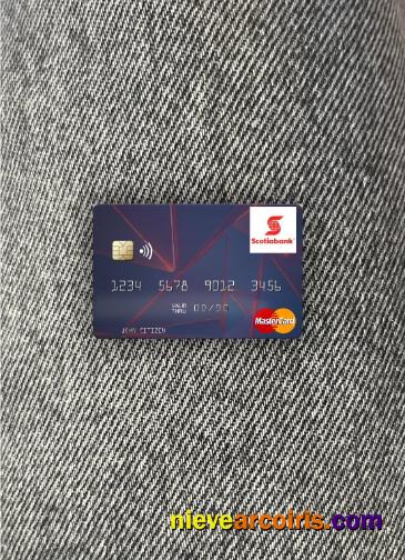 Saint Vincent And The Grenadines Bank Of Nova Scotia Mastercard Photolook Front Preview