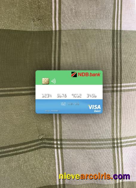 Sierra Leone National Development Bank Visa Debit Card Photolook Front Preview