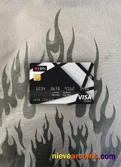 Singapore DBS Bank Visa Classic Card Photolook Front Preview