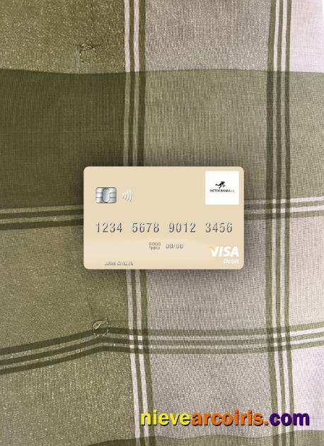 Slovenia Factor Banka Visa Debit Card Photolook Front Preview