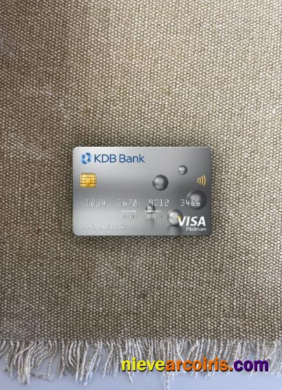 South Korea KDB Bank Visa Platinum Card Photolook Front Preview