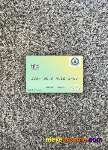 South Sudan Ivory Bank Visa Debit Card Photolook Front Photolook