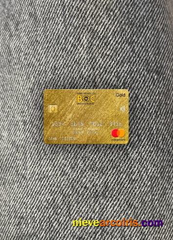 Sri Lanka Bank Of Ceylon Bank Mastercard Gold Photolook Front Preview