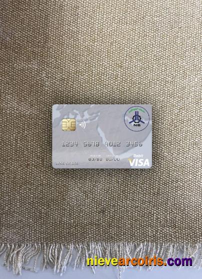 Sudan El Nilein Bank Visa Debit Card Photolook Front Sample