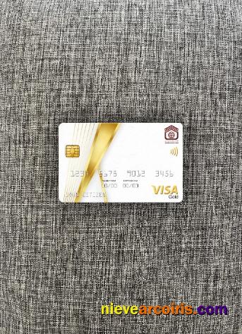 Sudan National Bank Visa Gold Card Photolook Front Template