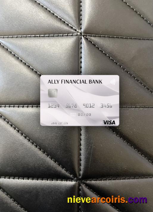 USA Ally Financial Bank Visa Card Photolook Front Sample