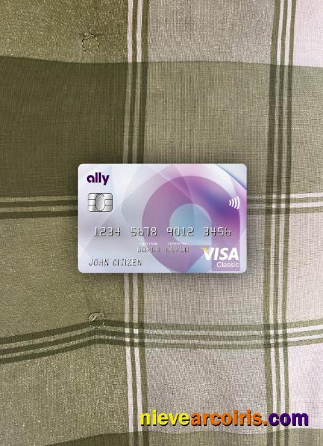 USA Ally Bank Visa Classic Card Photolook Front Sample