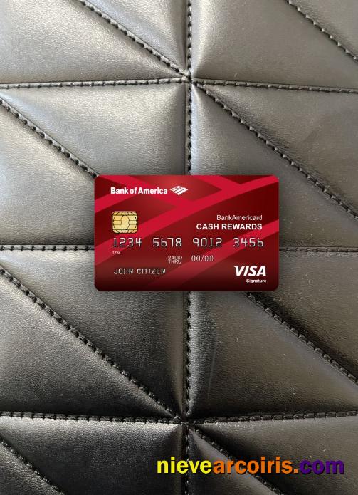 USA Bank Of America Visa Signature Card Photolook Front Template
