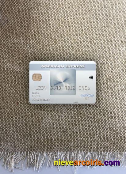 USA Bank Of New York Mellon AMEX Everyday Card Photolook Front Template