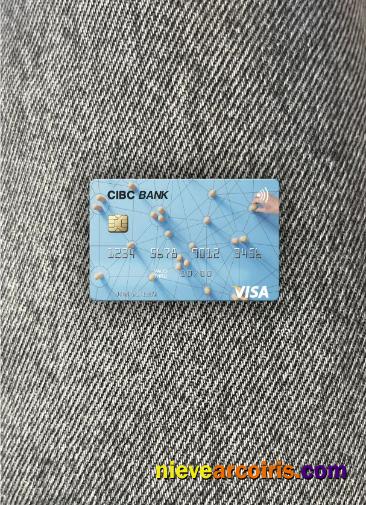 USA CIBC Bank Visa Card Photolook Front Preview