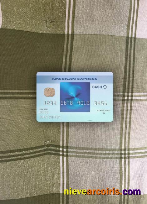 USA California BlueVine Bank Blue Cash Everyday® Card From AMEX Photolook Front Template