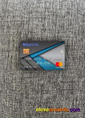 USA California BlueVine Bank Mastercard Photolook Front Template