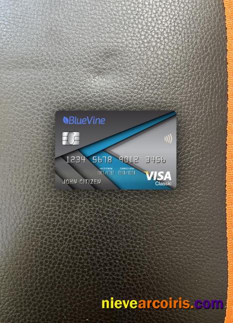 USA California BlueVine Bank Visa Classic Card Photolook Front Sample