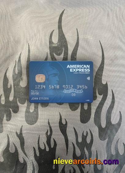 USA Fifth Third Bank AMEX Blue Cash Preferred Card Photolook Front Sample