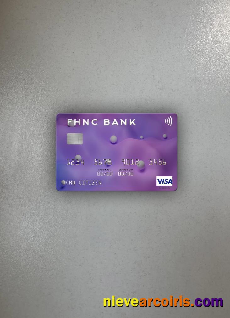 USA First Horizon National Corporation Bank Visa Card Photolook Front Sample