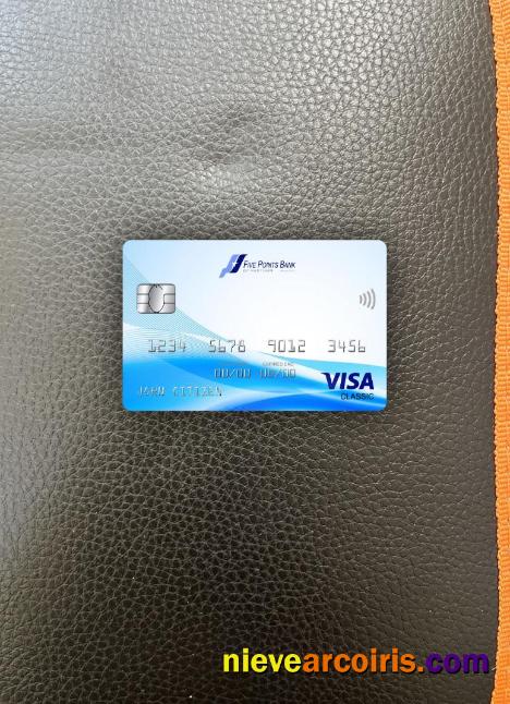 USA Nebraska Five Points Bank Visa Classic Card Photolook Front Template
