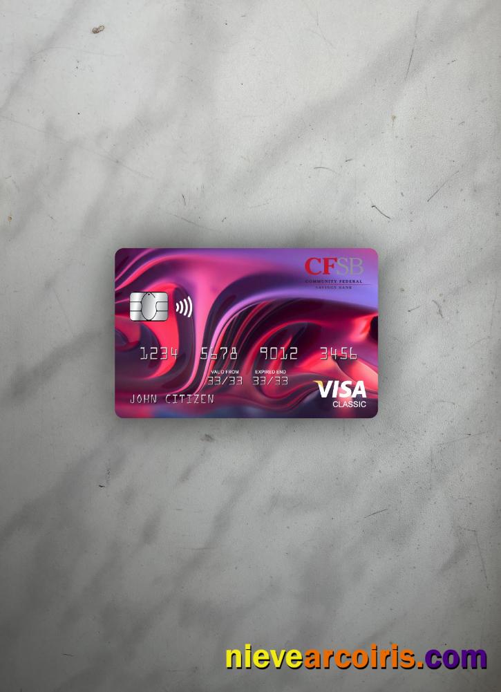 USA New York CFSB Bank Visa Classic Card Photolook Front Sample