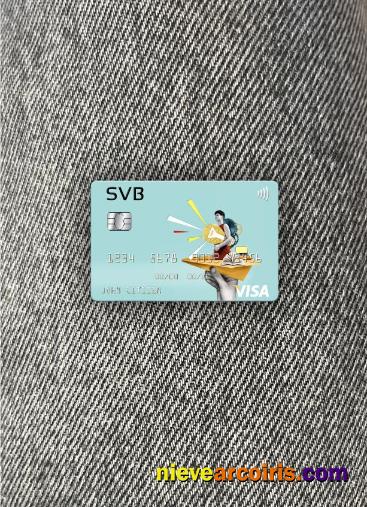 USA SVB Financial Group Visa Card Photolook Front Preview