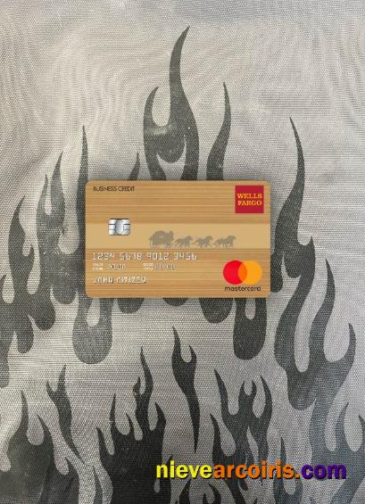 USA Wells Fargo Bank Mastercard Brown Photolook Front Template