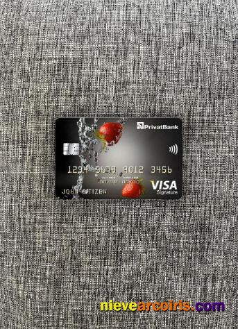 Ukraine PrivatBank Visa Signature Card Photolook Front Preview