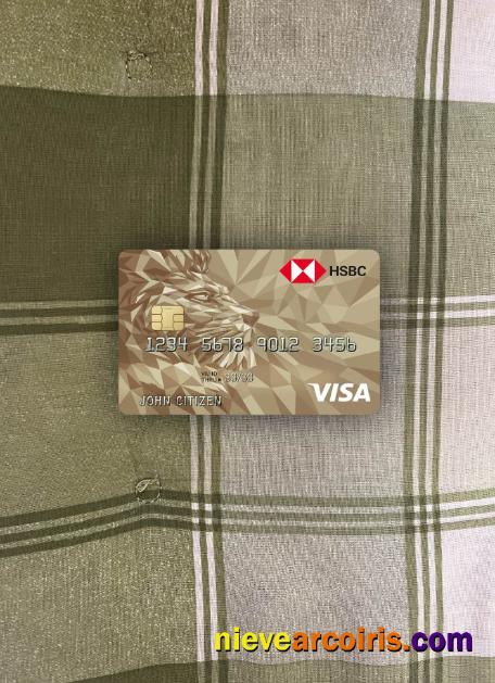 United Kingdom HSBC Visa Gold Credit Card Photolook Front Photolook