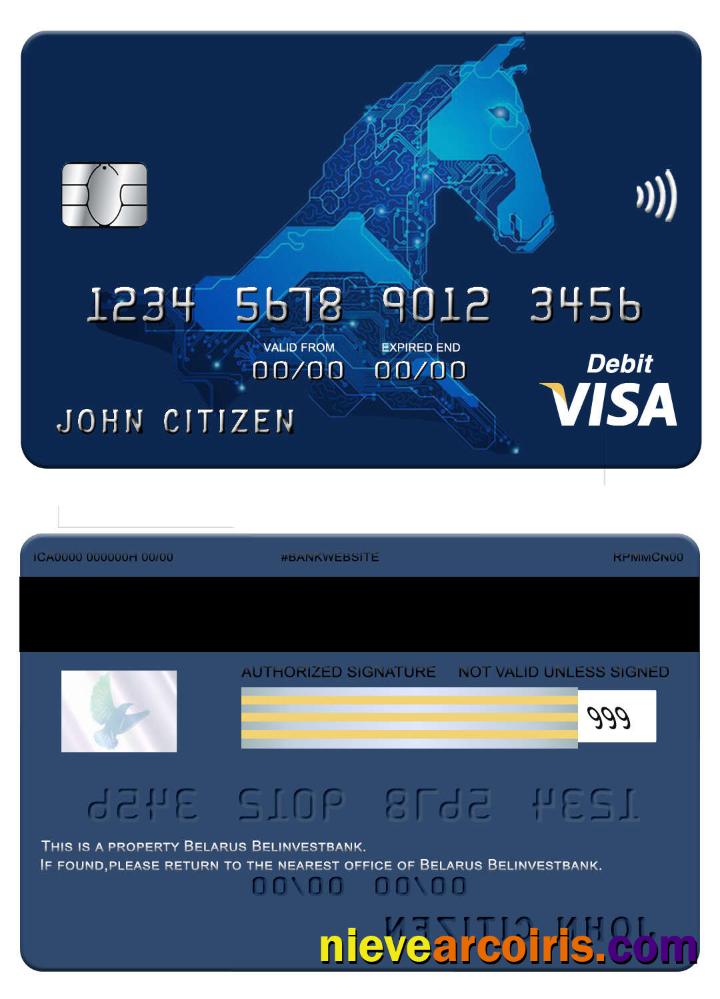 Belarus Belinvest Bank Visa Card Screen Sample