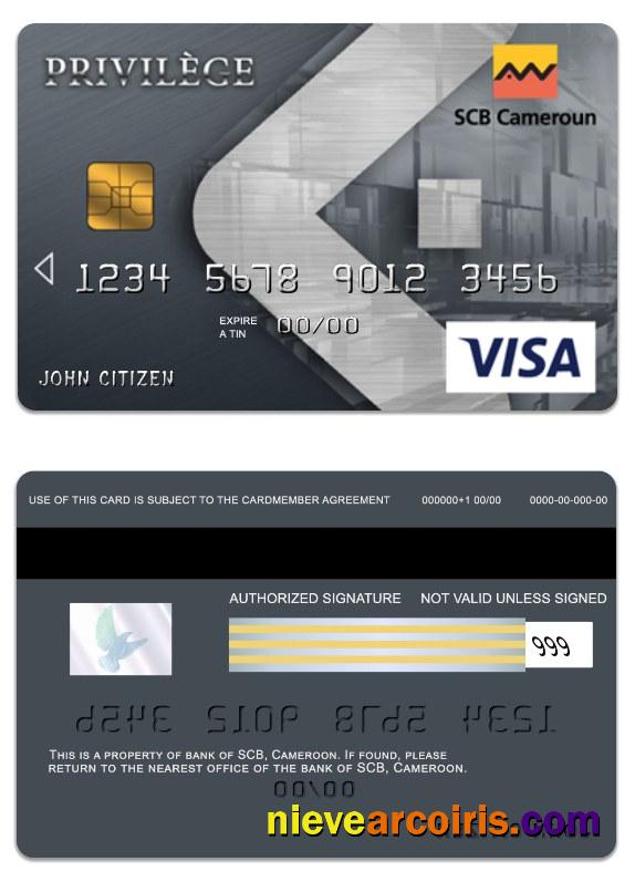 Cameroon SCB Bank Visa Privilege Card Preview