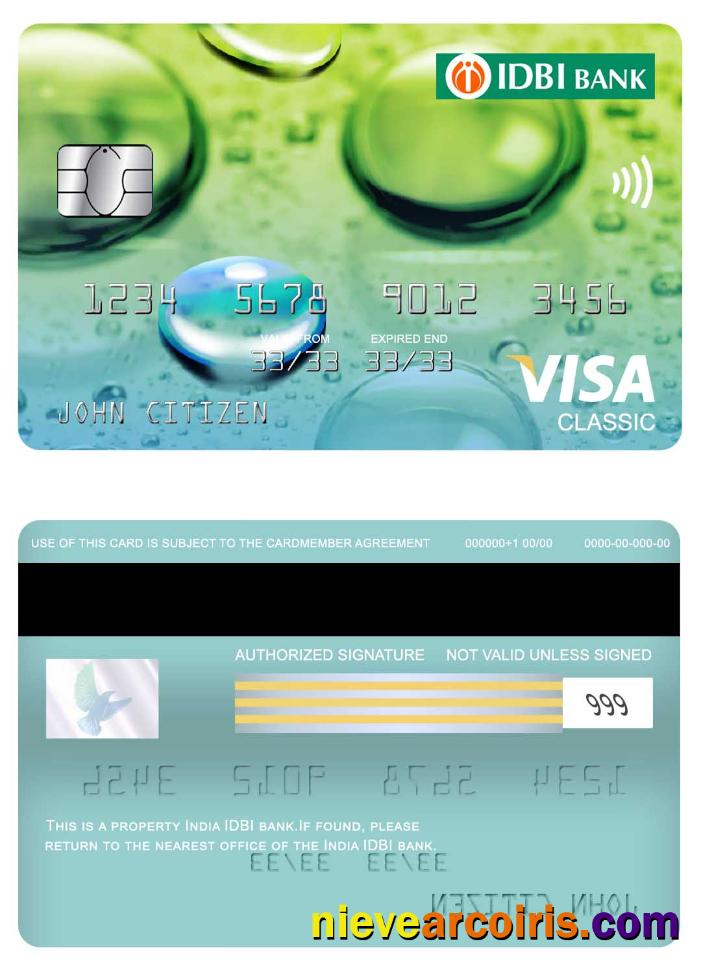 India IDBI Bank Visa Classic Card Screen Template