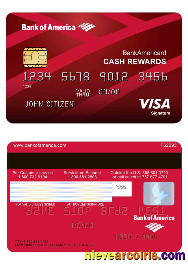 USA Bank Of America Visa Card 1 Sample