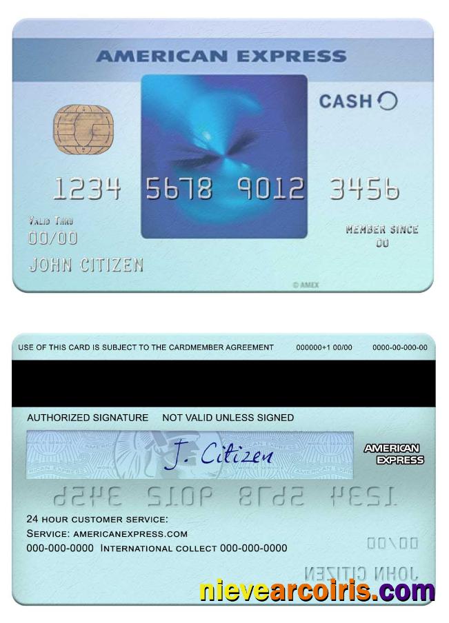 USA California BlueVine Bank Blue Cash Everyday® Card From Amex Sample