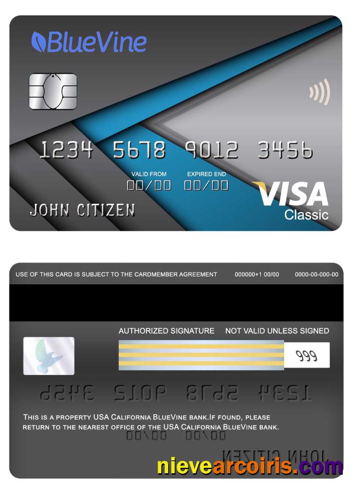 USA California BlueVine Bank Visa Classic Card Photolook