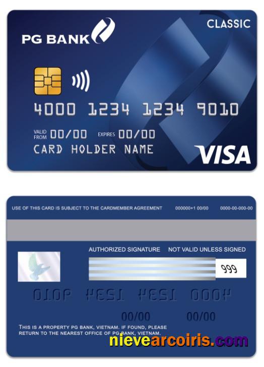 Vietnam PG Bank Visa Classic Card Photolook