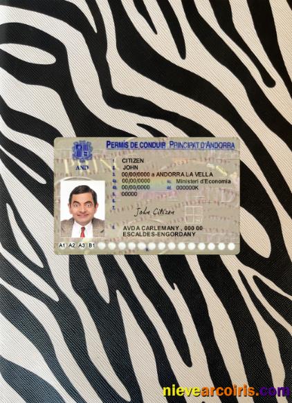 Andorra Driving License Photolook Front Sample