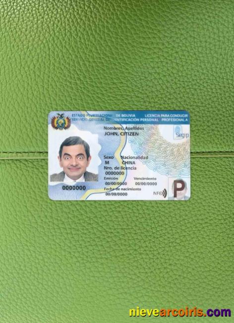 Premium Bolivia Driving License Template (2017 – Present) Photolook FRONT
