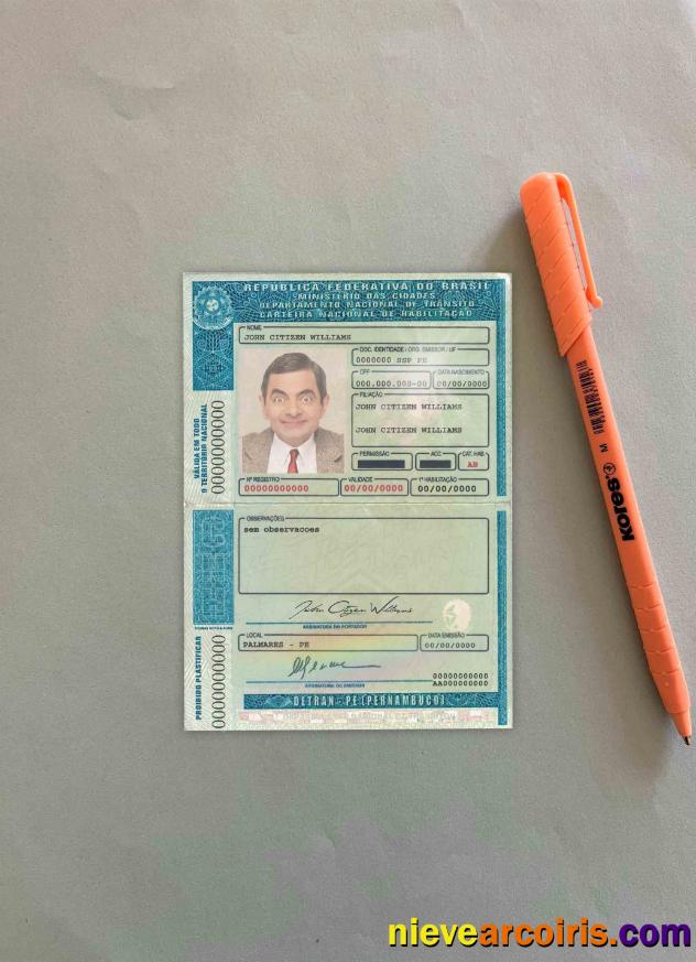 Brazil DL (Detran Pe[Pernambuco) Photolook Preview